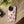 Pink Watermelon Pattern Phone Case, Impact‑resistant Magnetic Protective Cover - Mobile Cases