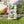 Home Grown Vegetables Banner Poly Poplin Canvas - Dipaliz - Flags & Windsocks