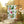 Home Grown Vegetables Banner Poly Poplin Canvas - Dipaliz - Flags & Windsocks