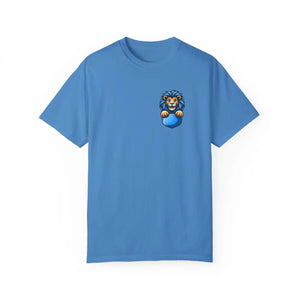 Relaxed Fit Comfort Colors Garment-dyed T-shirt - Dipaliz - T-shirts