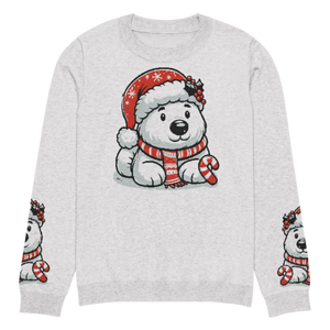 Festive Santa Hat Crew Neck Sweater - Knitted Cotton - Dipaliz - Sweaters