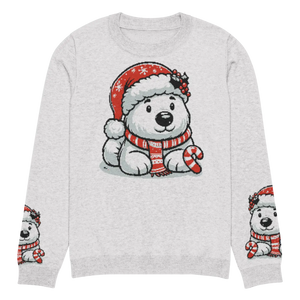 Festive Santa Hat Crew Neck Sweater - Knitted Cotton - Dipaliz - Sweaters