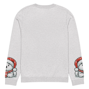 Festive Santa Hat Crew Neck Sweater - Knitted Cotton - Dipaliz - Sweaters