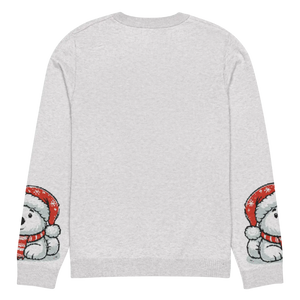 Festive Santa Hat Crew Neck Sweater - Knitted Cotton - Dipaliz - Sweaters