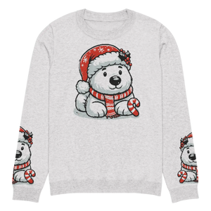 Festive Santa Hat Crew Neck Sweater - Knitted Cotton - Dipaliz - Sweaters