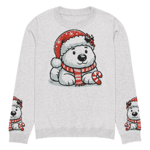 Festive Santa Hat Crew Neck Sweater - Knitted Cotton - Dipaliz - Sweaters