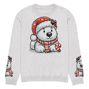 Festive Santa Hat Crew Neck Sweater - Knitted Cotton - Dipaliz - Sweaters