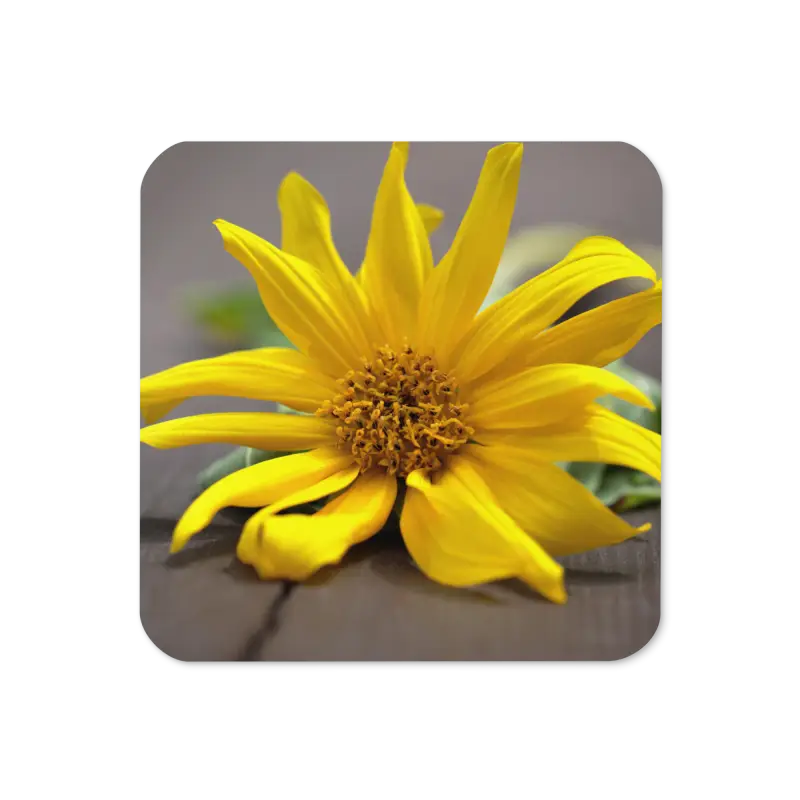 Brighten your Space with Yellow Sunflower Cork Coasters! - Kitchen and Dining