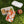 Exceptional Bento Lunch Box - Portable Office Meal - Dipaliz - Sets
