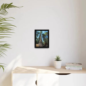 Redwood Forest Matte Canvas Art with Black Frame - Dipaliz - Posters Prints & Visual Artwork