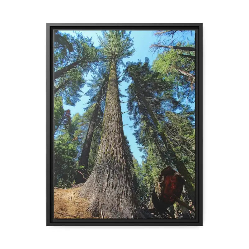 Redwood Forest Matte Canvas: Nature’s Snazzy Sanctuary - 18″ x 24″ (vertical) / Black / 1.25’’ Canvas