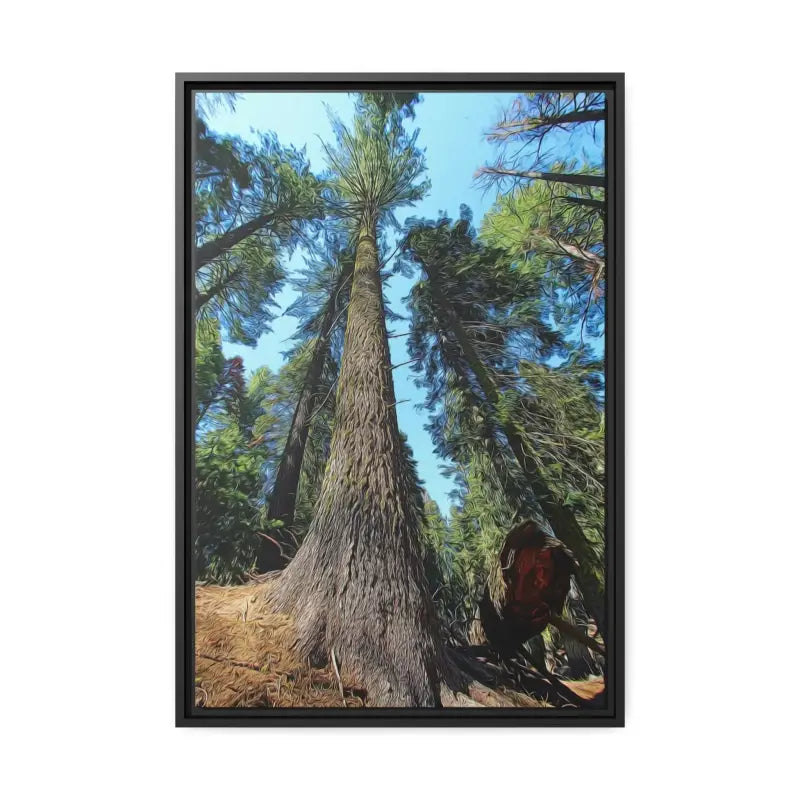 Redwood Forest Matte Canvas: Nature’s Snazzy Sanctuary - 20″ x 30″ (vertical) / Black / 1.25’’ Canvas