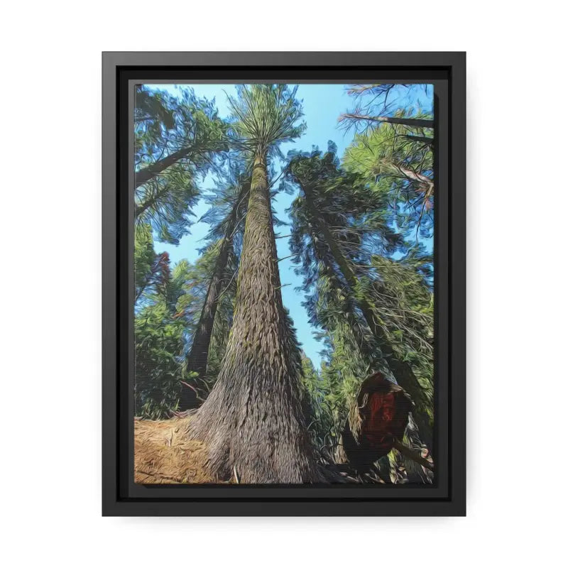 Redwood Forest Matte Canvas: Nature’s Snazzy Sanctuary - 9’’ x 12’’ (vertical) / Black / 1.25’’ Canvas