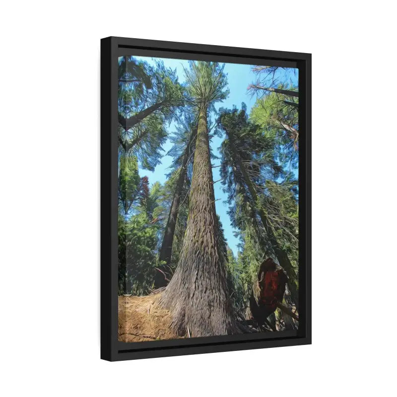 Redwood Forest Matte Canvas: Nature’s Snazzy Sanctuary - Canvas