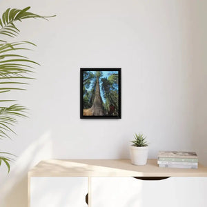 Redwood Forest Matte Canvas Art with Black Frame - Dipaliz - Posters Prints & Visual Artwork