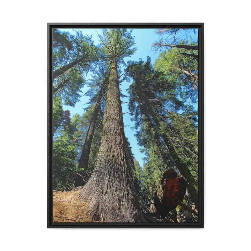 Redwood Forest Matte Canvas: Nature’s Snazzy Sanctuary - 24’’ x 32’’ (vertical) / Black / 1.25’’ Canvas