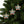 Reindeer Christmas Ornaments – Durable Ceramic - Dipaliz - Holiday