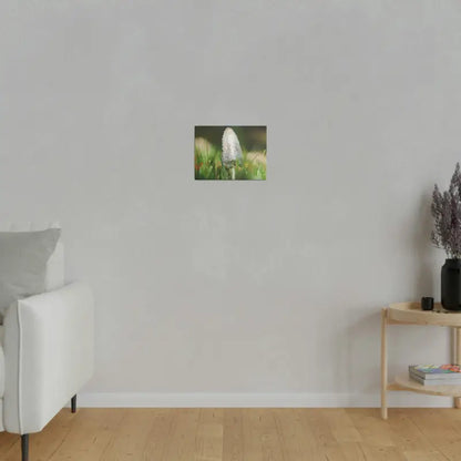 Transform your Space with Dipaliz Matte Canvas Artwork