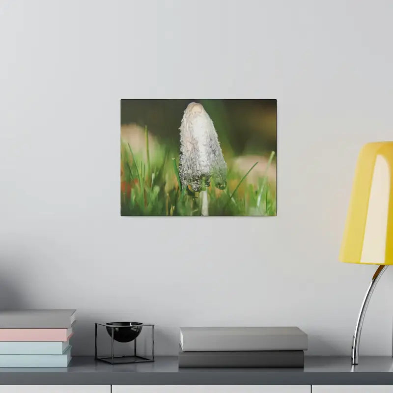 Transform your Space with Dipaliz Matte Canvas Artwork