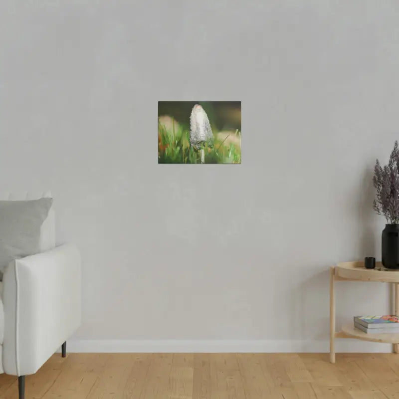 Transform your Space with Dipaliz Matte Canvas Artwork