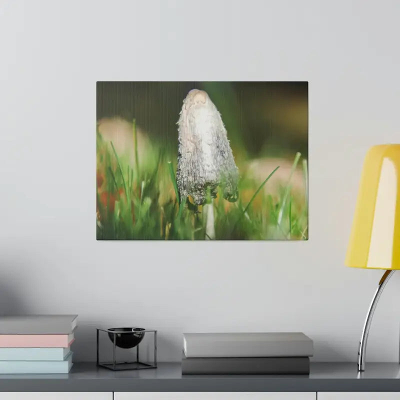 Transform your Space with Dipaliz Matte Canvas Artwork