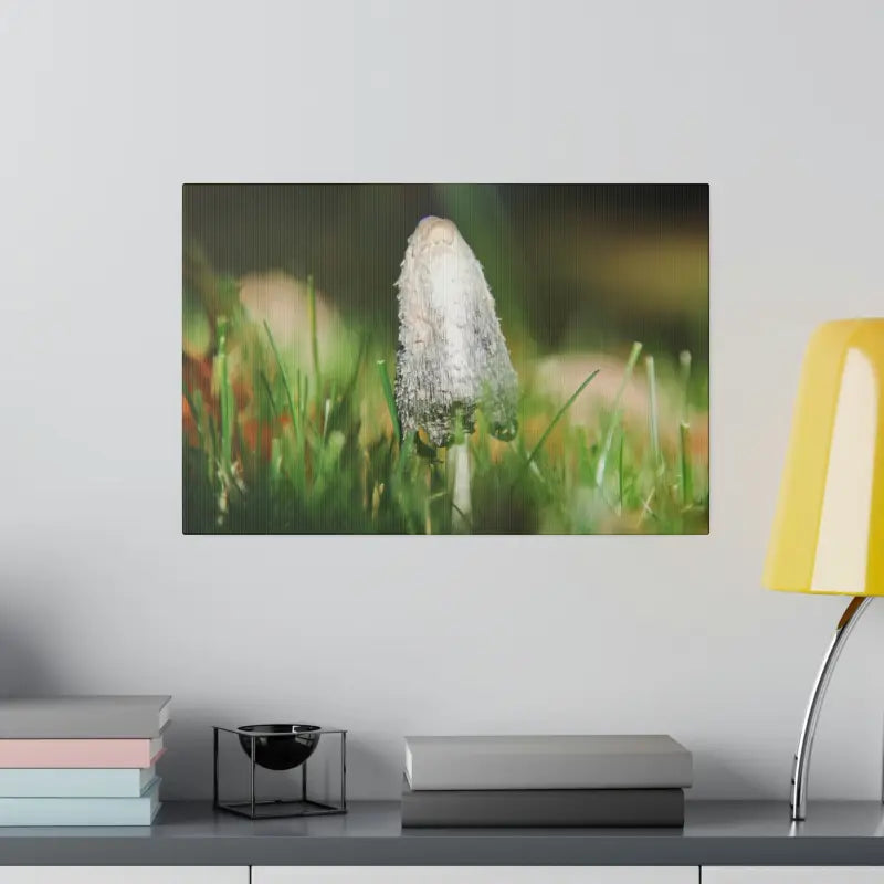 Transform your Space with Dipaliz Matte Canvas Artwork