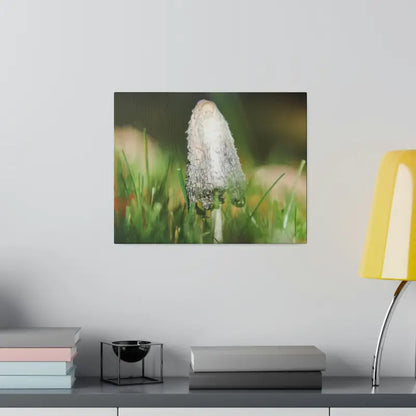 Transform your Space with Dipaliz Matte Canvas Artwork