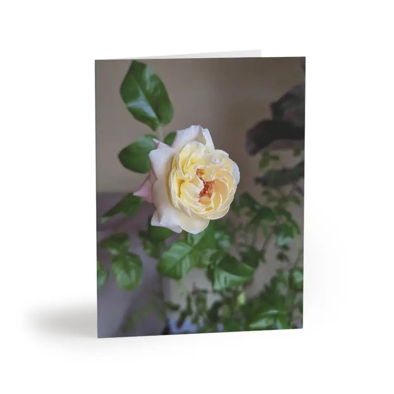 Rosey New Year Greeting Cards with Matching White Envelopes - 16 Pcs / Matte / 4.25” x 5.5” Paper Products