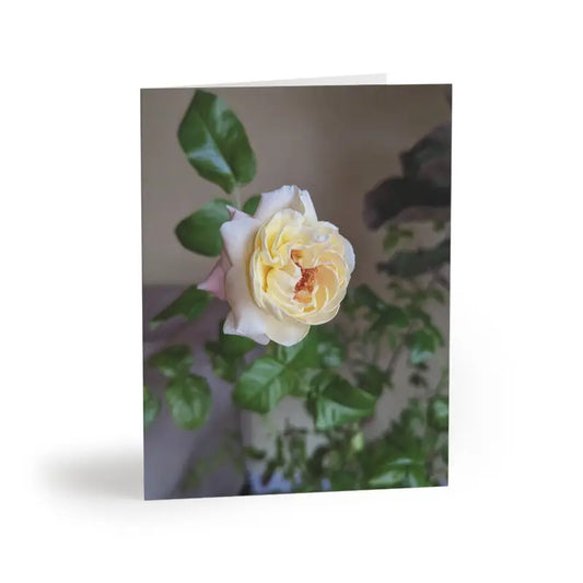 Spread Joy with Rosey New Year Greeting Cards & Envelopes - 8 Pcs / Matte / 4.25” x 5.5” Paper Products