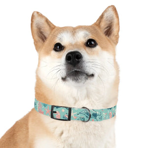 Waterproof Sea Life Dog Collar - Aqua Coral Tpu - Dipaliz - Standard Collars