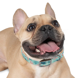Waterproof Sea Life Dog Collar - Aqua Coral Tpu - Dipaliz - Standard Collars