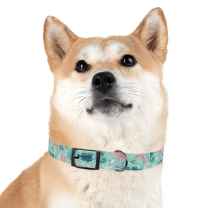 Waterproof Sea Life Dog Collar - Aqua Coral Tpu - Dipaliz - Standard Collars