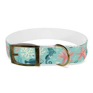 Waterproof Sea Life Dog Collar - Aqua Coral Tpu - Dipaliz - Standard Collars