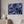 Blue Anemone Canvas – Semi Glossy Finish - Dipaliz - Posters Prints & Visual Artwork