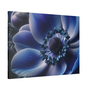 Blue Anemone Canvas – Semi Glossy Finish - Dipaliz - Posters Prints & Visual Artwork