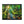 Forest Canvas Print – Semi Glossy Finish - Dipaliz - Posters Prints & Visual Artwork