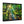 Forest Canvas Print – Semi Glossy Finish - Dipaliz - Posters Prints & Visual Artwork