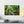 Forest Canvas Print – Semi Glossy Finish - Dipaliz - Posters Prints & Visual Artwork