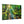 Forest Canvas Print – Semi Glossy Finish - Dipaliz - Posters Prints & Visual Artwork