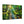Forest Canvas Print – Semi Glossy Finish - Dipaliz - Posters Prints & Visual Artwork
