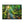 Forest Canvas Print – Semi Glossy Finish - Dipaliz - Posters Prints & Visual Artwork