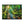 Forest Canvas Print – Semi Glossy Finish - Dipaliz - Posters Prints & Visual Artwork