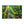 Forest Canvas Print – Semi Glossy Finish - Dipaliz - Posters Prints & Visual Artwork