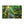 Forest Canvas Print – Semi Glossy Finish - Dipaliz - Posters Prints & Visual Artwork
