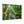Forest Canvas Print – Semi Glossy Finish - Dipaliz - Posters Prints & Visual Artwork