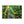 Forest Canvas Print – Semi Glossy Finish - Dipaliz - Posters Prints & Visual Artwork