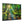 Forest Canvas Print – Semi Glossy Finish - Dipaliz - Posters Prints & Visual Artwork