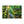 Forest Canvas Print – Semi Glossy Finish - Dipaliz - Posters Prints & Visual Artwork