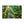 Forest Canvas Print – Semi Glossy Finish - Dipaliz - Posters Prints & Visual Artwork