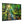 Forest Canvas Print – Semi Glossy Finish - Dipaliz - Posters Prints & Visual Artwork